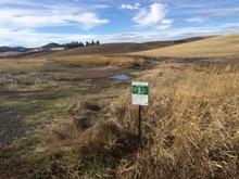 Palouse River Access YES