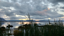 Waterfowl Hunt on the Clark Fork Delta