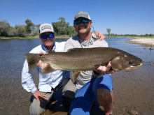 Hix cutthroat trout