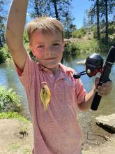 Young child with a fish caught at a Panhandle Take Me Fishing! trailer event