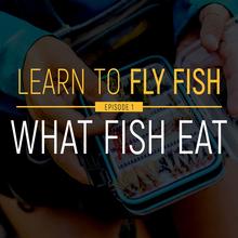 learn_to_fly_fish_ep_1_what_fish_eat.jpg