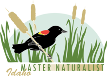 masternaturalist