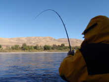 Steelhead Angler on the Clearwater River