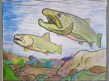 Bull trout coloring page