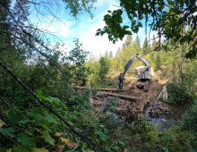 Contractor placing tree in an engineered log-jam / Photo by Brett Kelly