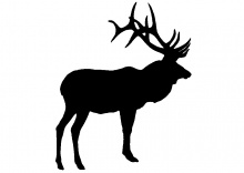 silhouette_elk_4