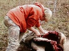 skinning_a_deer