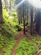 snow_peak_sunlit_trail