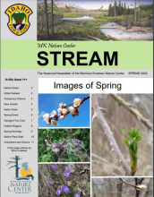 spring_newsletter_cover