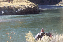 Steelhead fishing on the Salmon River 2016