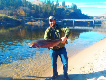 Big steelhead at Lenore Boat Ramp on Clearwater River in fall of 2016.