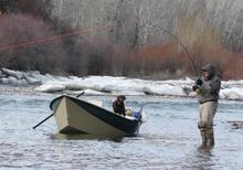 upper_salmon_steelhead43q0957.jpg