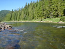 View of Priest River