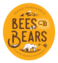 Bees2Bears Logo