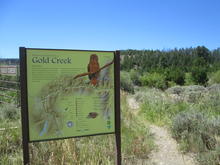 Gold Creek Access informational sign and trail medium shot July 2015