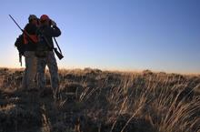 antelope hunters looking for animals with binoculars dressed in hunter orange