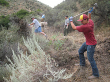 medium shot of volunteers clearing brush for a fence near the highway 21 wildlife underpass August 2011