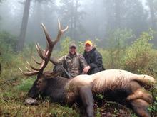 two men and their bull elk December 2013