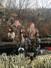 boys with their mallard ducks December 2016 vertical shot