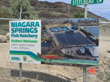 Niagara Springs Fish Hatchery informational sign June 2015