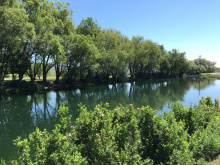 Hayspur fish hatchery fishing pond medium shot June 2015