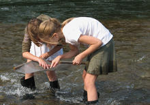 kids looking for insects in the creek by the MK Nature Center