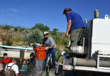 loading_channel_catfish_by_hand_into_stocking_trucks