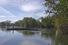 Riverside Pond Docks