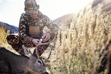 young male hunter standing over and tagging mule deer buck