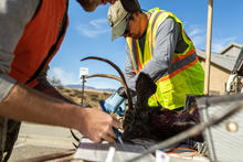 CWD, chronic wasting disease, check station