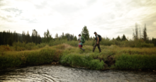 Fish and Game and Nez Perce Tribe fisheries staff survey spawning Chinook from the bank of the Secesh River