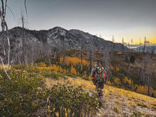big game hunter walking along ridge 2025