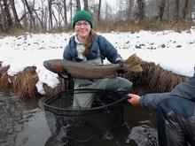 S. Fork Clearwater broodstock