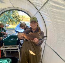Adult kokanee from Idaho Fish and Game's first hatchery broodstock