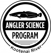 Kootenai River Angler Science Program logo
