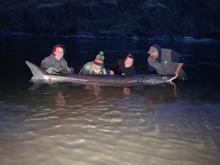 big_sturgeon_3