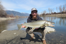 Catch/rel record bull trout 2020