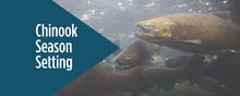 chinook season setting banner