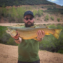 Austin Christensen with record tiger trout, Montpelier Reservoir