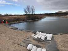 dog_pond_at_edson_fichter_nature_area