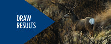 controlled hunts nonresident draw results