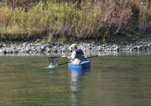 Trout angler, Kootenai River