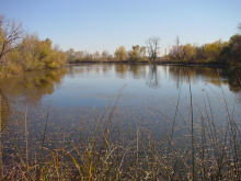 duff_lane_pond_01_lr