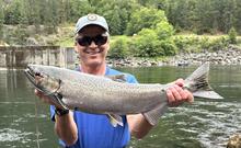 Chinook caught below Dworshak Dam