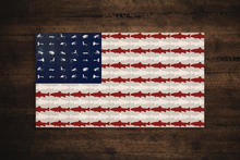 4th of july fishing thumbnail