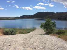 Fish Creek Reservoir, Rare stocking event