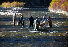 fisheries_crew_shocking_the_south_fork_boise_oct_2020_lowres