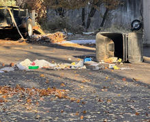 Garbage is scattered after a bear gets into a residential garbage cart