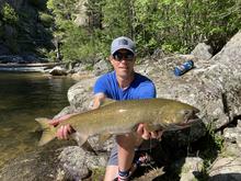 SFSR fish 3