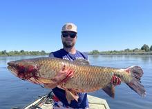 2025 state record grass carp Riley Farden of New Plymouth